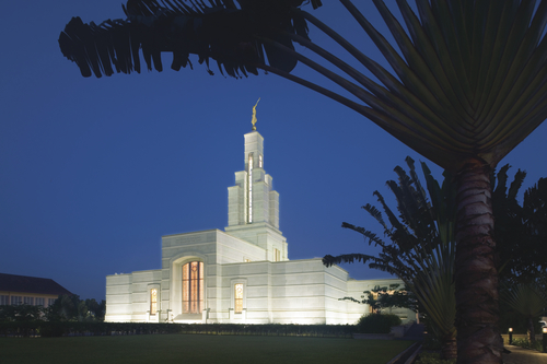A large palm tree, with the Accra Ghana Temple in the background, lit up at night.