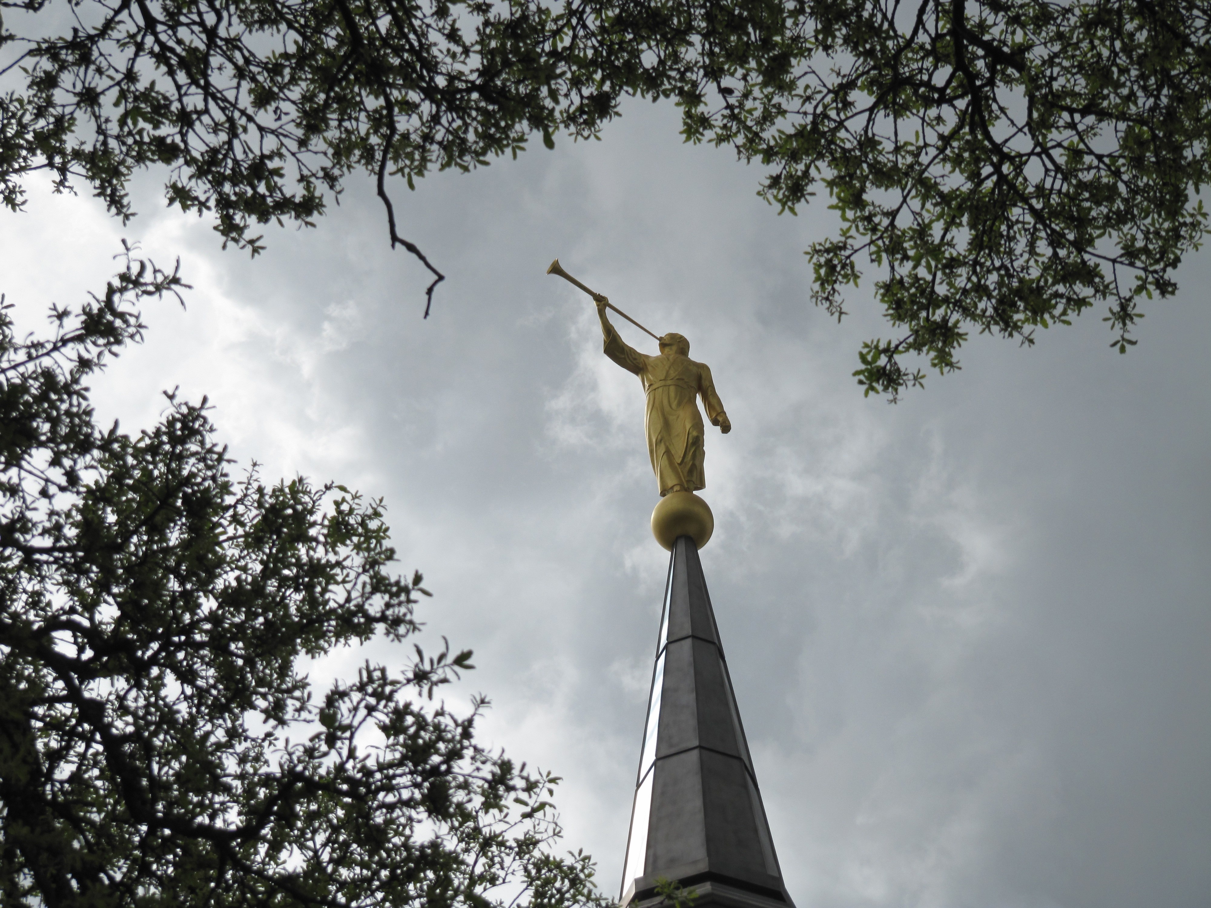 An image of the golden angel Moroni statue atop the spire of the Sacramento California Temple, with the leaves of trees seen nearby.
