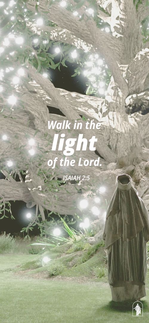 January 2023 Liahona Picture Quote: Walk in the Light of the Lord